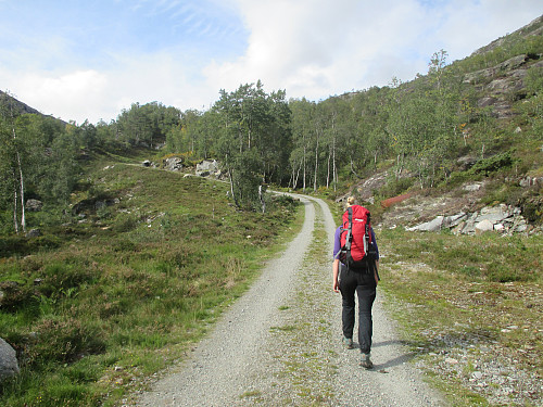 Bratt start opp kraftverksvegen fra Bergstø
