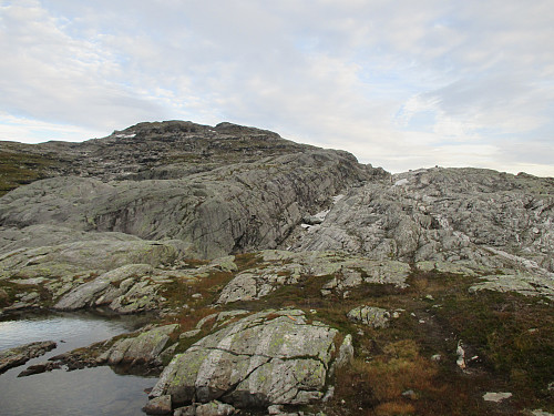 Tilbakeblikk mot Skjeggesnuten og draget vi fulgte ned fra skardet til høyre for nuten