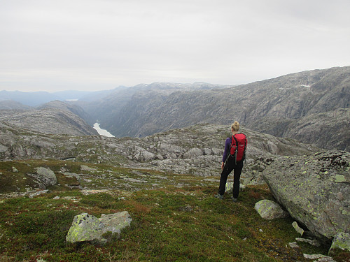 Mot Sandvikevatnet