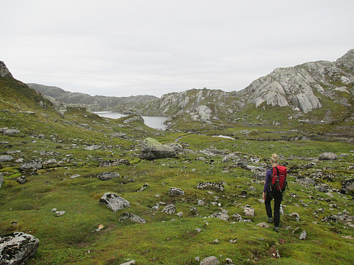 Mot Skjeggesvatnet