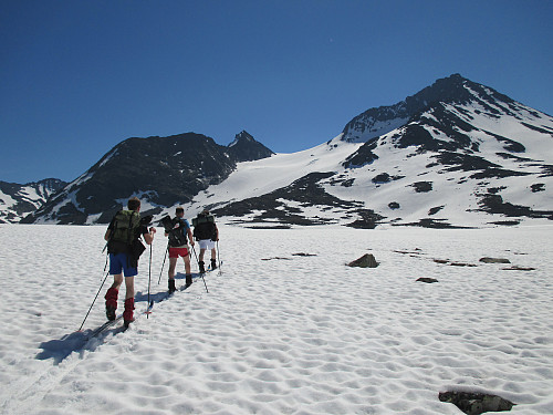 Mot Visbreen med dagens mål Semelholstind sentralt, som vanlig overgått av Visbretind til høyre