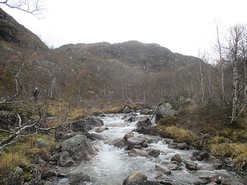Ved utløpet av Skåfonnbekken i Eivindbuvatnet
