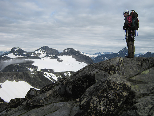 På Austre Torfinnstind med utsikt mot Torfinnsegga, Kvitskardtind, Mesmogtind og Langedalstind