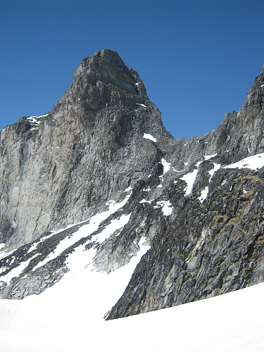 Veslepiggen troner over Storjuvbreen