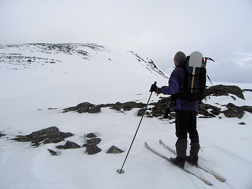 Mot Spiterhø