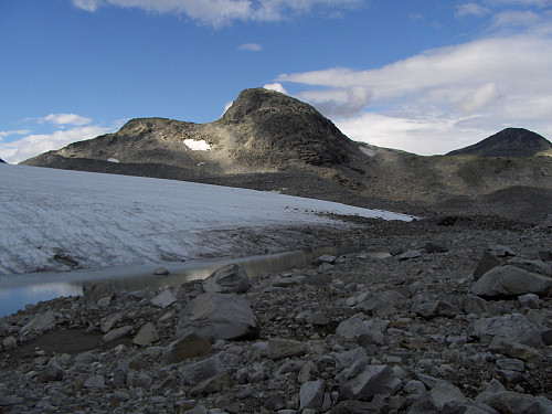 Ved Falkebreen mot Snøggeknosi