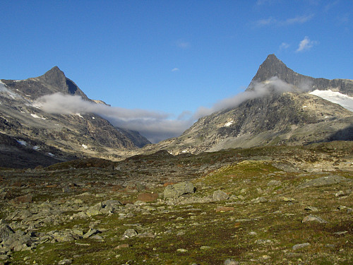 Flott morgen å våkne til i Koldedalen!
