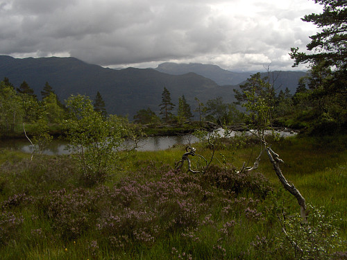 Vakker Ryfylke-natur!