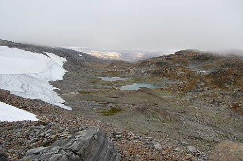 Goldt landskap rundt den sterkt svekkede breen