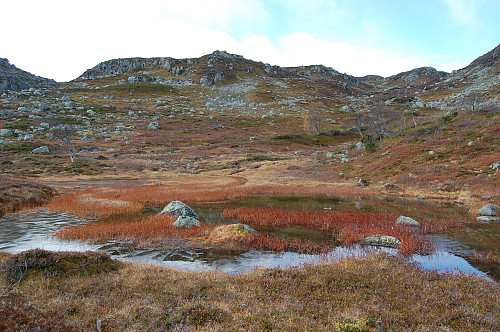 Høstfarger og issnerpe i høyden