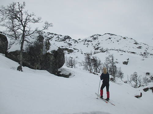Oppstigning mot Skåfonnhytta