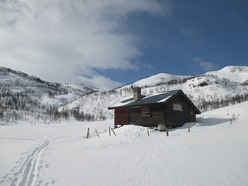 Idyllisk ved Fossen