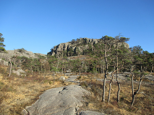 Typisk landskap på veg til Hatten, med sva og fjellforer