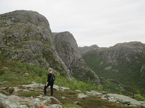 Mot "hodna" og Småsildalen
