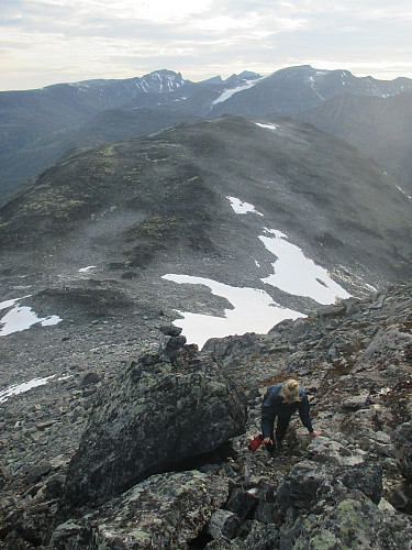 Småklyving opp det siste stykket til Geita, helt uten snøfelt. Skardstind med Nåla er lett gjenkjennelig i bakgrunnen