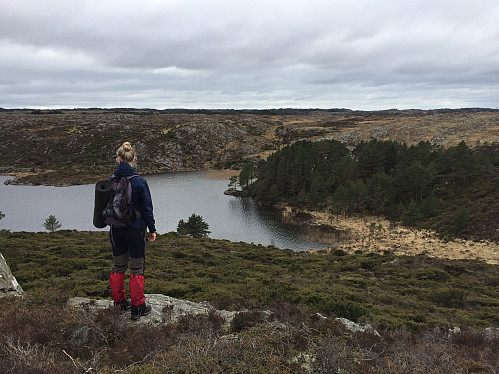 Frå Aurfjellet mot Dalsvatnet