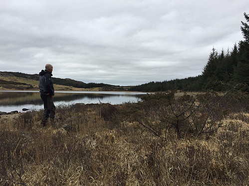 Ved Homravatnet