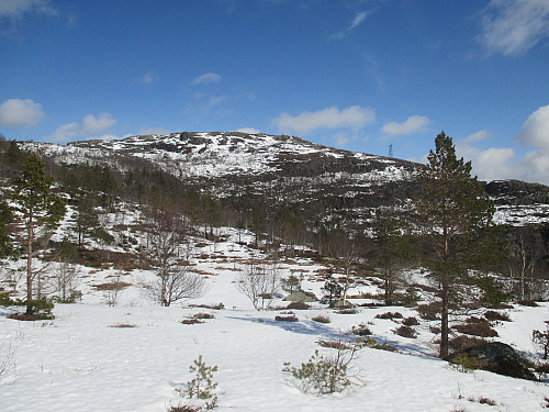 På returen med tilbakeblikk mot Husafjellet