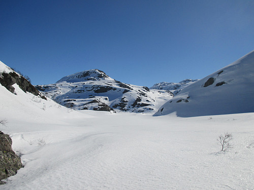 Vi er oppe i den ellers utilgjengelige vestenden av Nedra Fjellvatnet