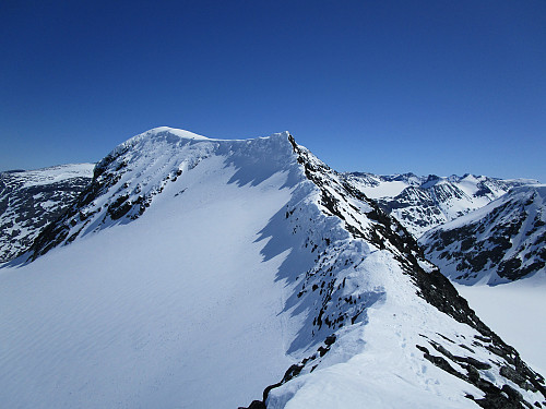 På den snødekte vesteggen til Bakerste Skagsnebb. Vi har Hurrbreen på venstre side og Veslebreen på høyre side