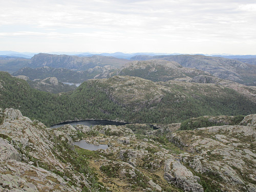 Frå Godlifjellet mot Gryteholstjødna og Svartavassknuten. Bakanfor sjåast bl.a. Krunefjell og ein flik av Holmavatnet