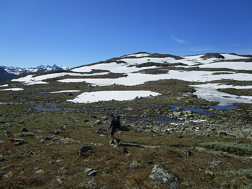 Vi passerer den fine teltplassen under Steindalsnosi fra 2008, 2010 og 2013