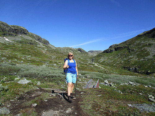 Tilbakeblikk opp Vesleutladalen