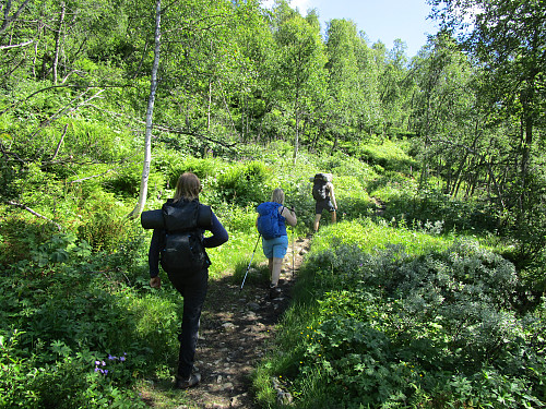 Det er drygt, men frodig mellom Storebrua og Skogadalsbøen