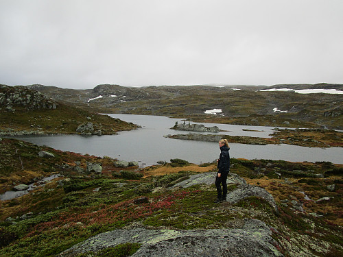 Ved Skåfonntjørna