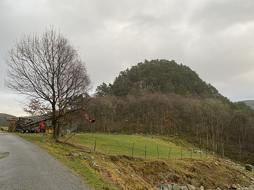 Mot den høgreiste og stilige Askjeliåsen ved Berge