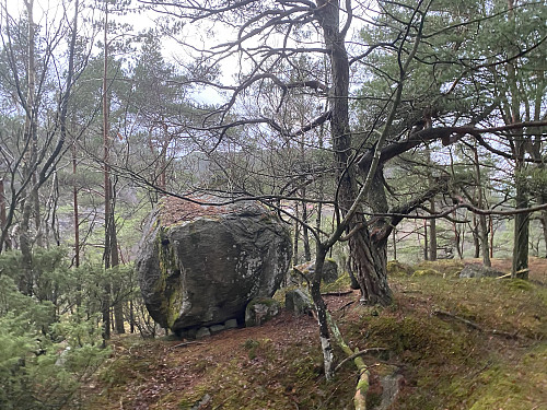 Flyttblokka på toppen av Iglåsen med huset på Berge så vidt synleg mellom trea