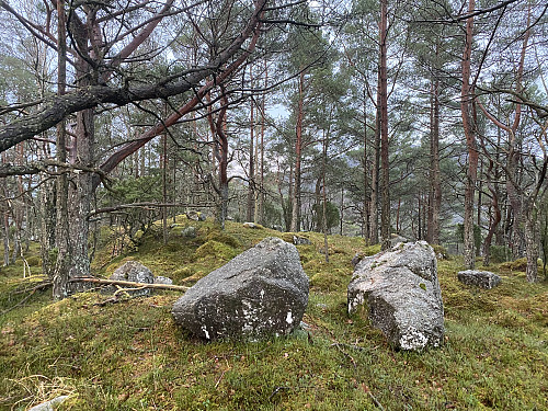 Høgaste punkt utanom flyttblokka