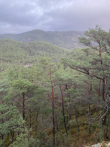 Frå Iglåsen mot Hesten