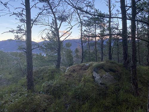 Toppunktet på Hausvikkammen