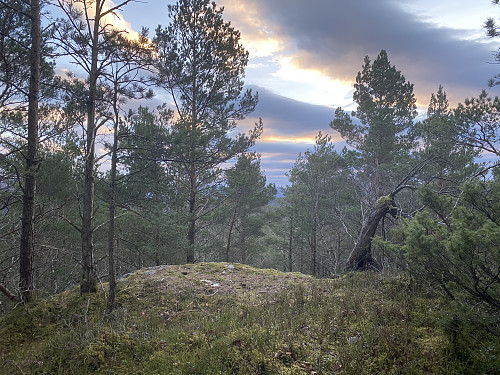 Toppunktet på Furåsen