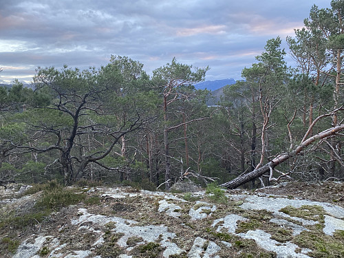 Toppunktet på Skifteåsen