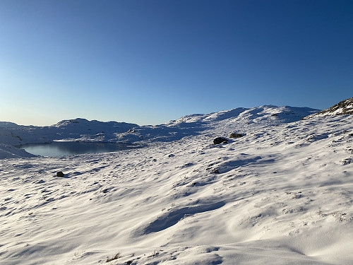 Frå Heitaholo mot Flotavatnet, Lysenuten og Roaldkvamsnuten