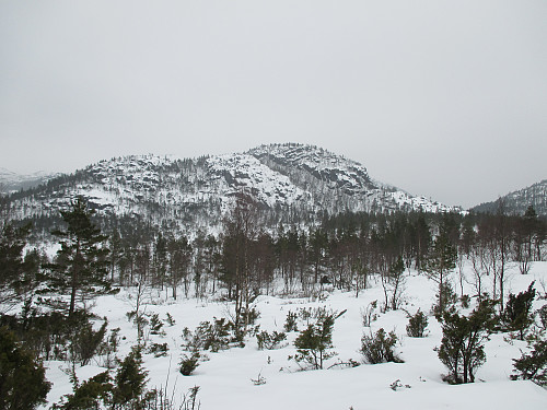 Mot Solknuten