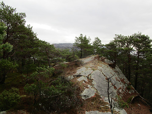 På toppen av Vardatoppen