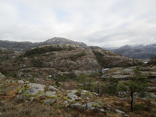 På ryggen sør for Gloppavatnet med utsikt mot Gråknuten og Neverdalsfjellet