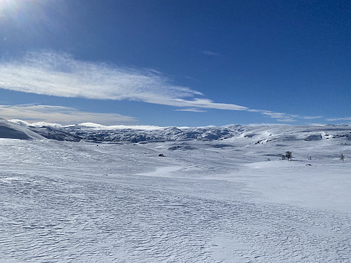 Fint å trø sine eigne spor utanom løypene