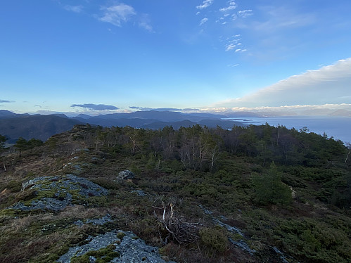 Utsikt austover ryggen mot Nedstrandsfjella med Gaupåsen og Stølanuten kjenneslege