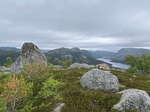 På den vardelause sekundærtoppen vest for Kvednavatnet, men med den sørlege grensebolten for Longavatnet naturreservat