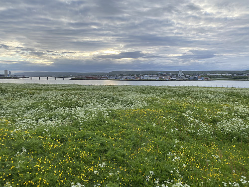 Fra øya mot Vadsø sentrum