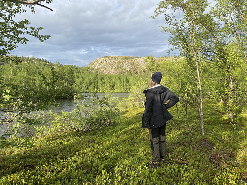 Ved Harefossen i vakkert kveldslys