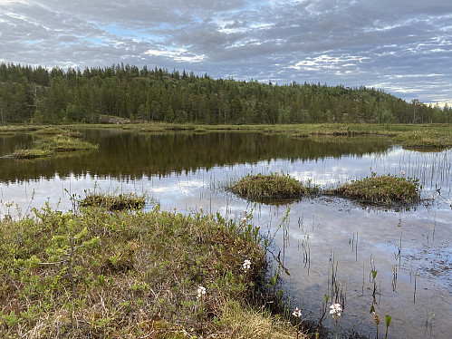 Ved Lorttjønna som er vakrere enn navnet tilsier