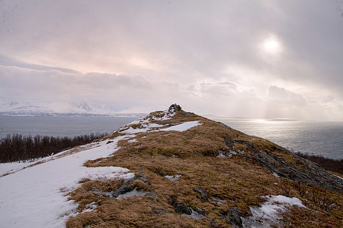 Varden