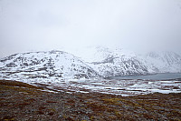 rogerravlolosvik_20150314_55045126b3f09.jpg