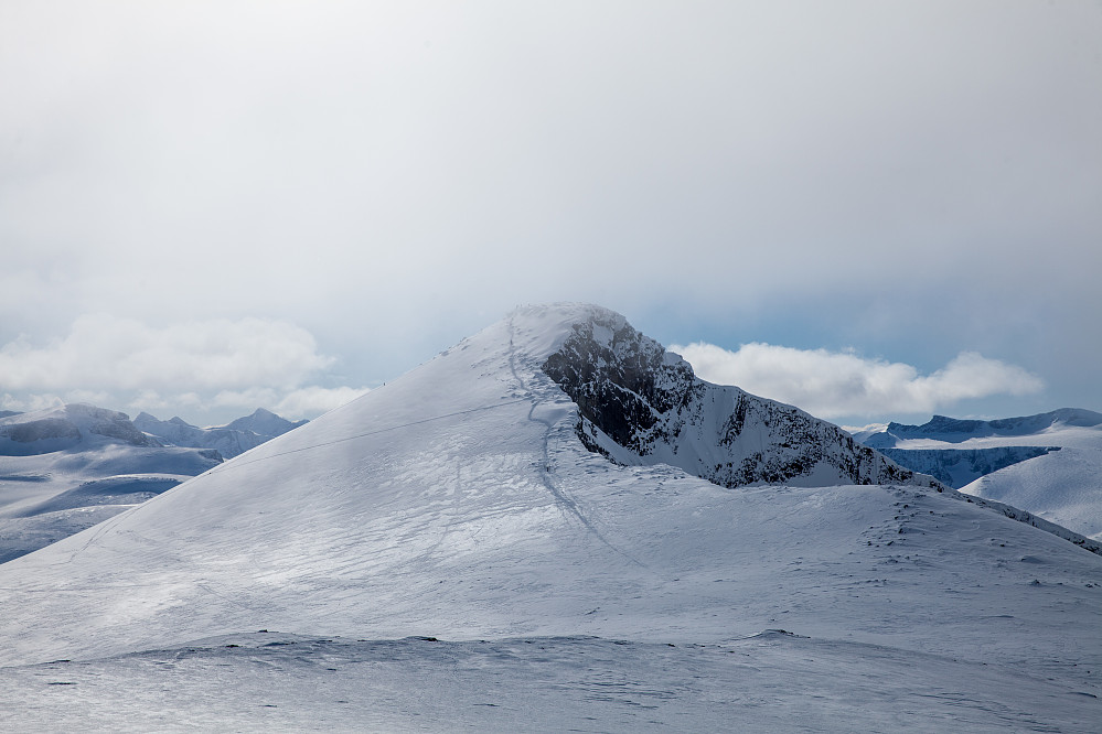 Nautgardstinden