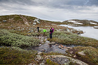 rogerravlolosvik_20150805_55c26a2b24569.jpg